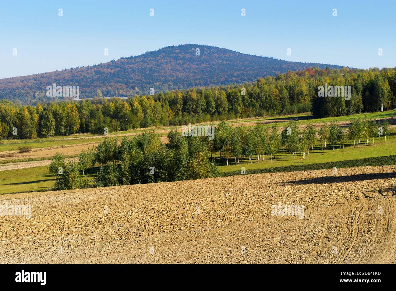 Paysage rural avec vue sur le pic de Lysica. Montagnes Swietokrzyskie, Pologne. Banque D'Images