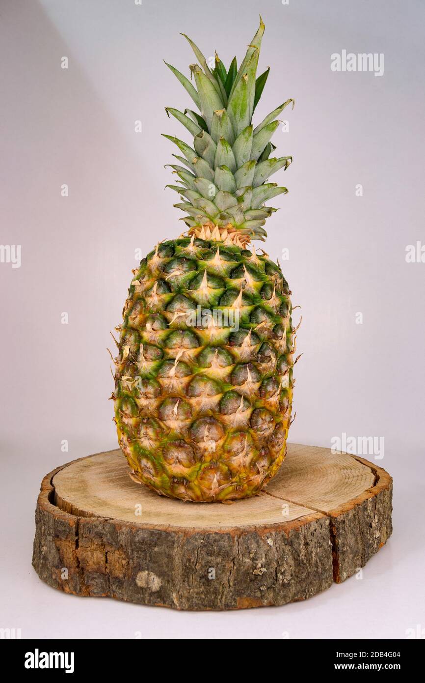 Ananas frais entier reposant sur une bûche de bois avec un fond blanc et rayon de lumière Banque D'Images