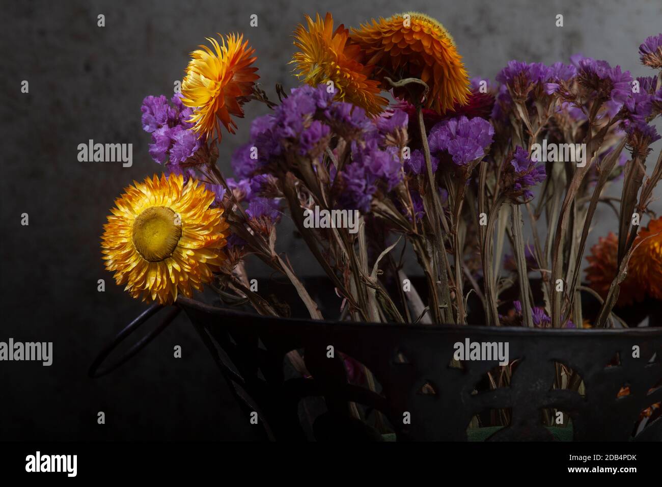 STILL Life gros plan photo du bouquet de vif séché Fleurs sur fond sombre en horizontal Banque D'Images