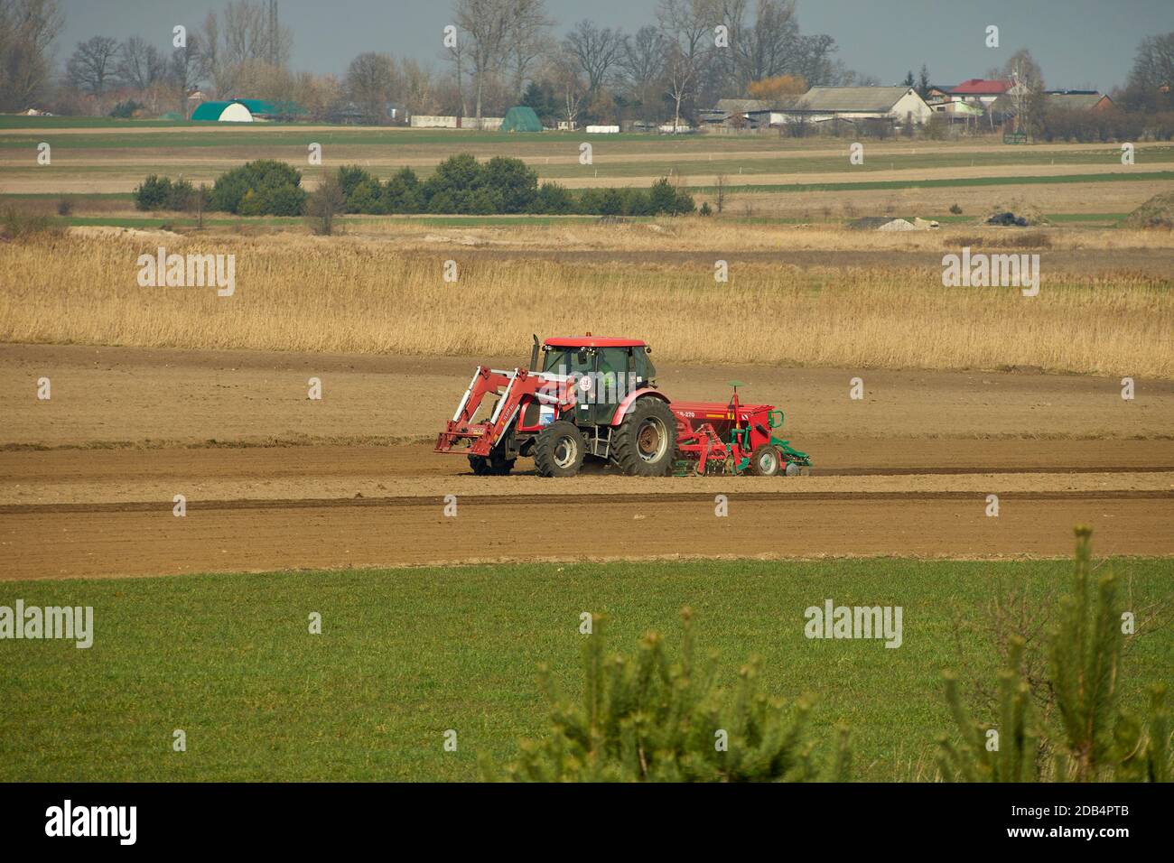 Bełdów, POLOGNE - 17 mars 2020 : travaux sur le terrain. Tracteur avec semoir semant des céréales au printemps. Banque D'Images