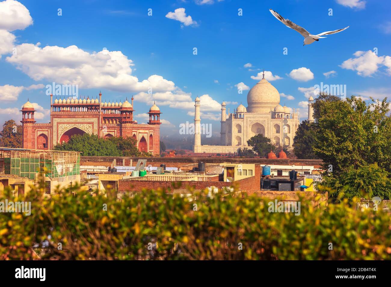Complexe Taj Mahal, vue depuis le toit d'Agra, Inde. Banque D'Images