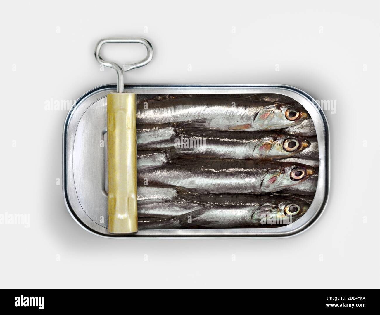 Sardines dans un CAN ouvert prêt à manger Banque D'Images