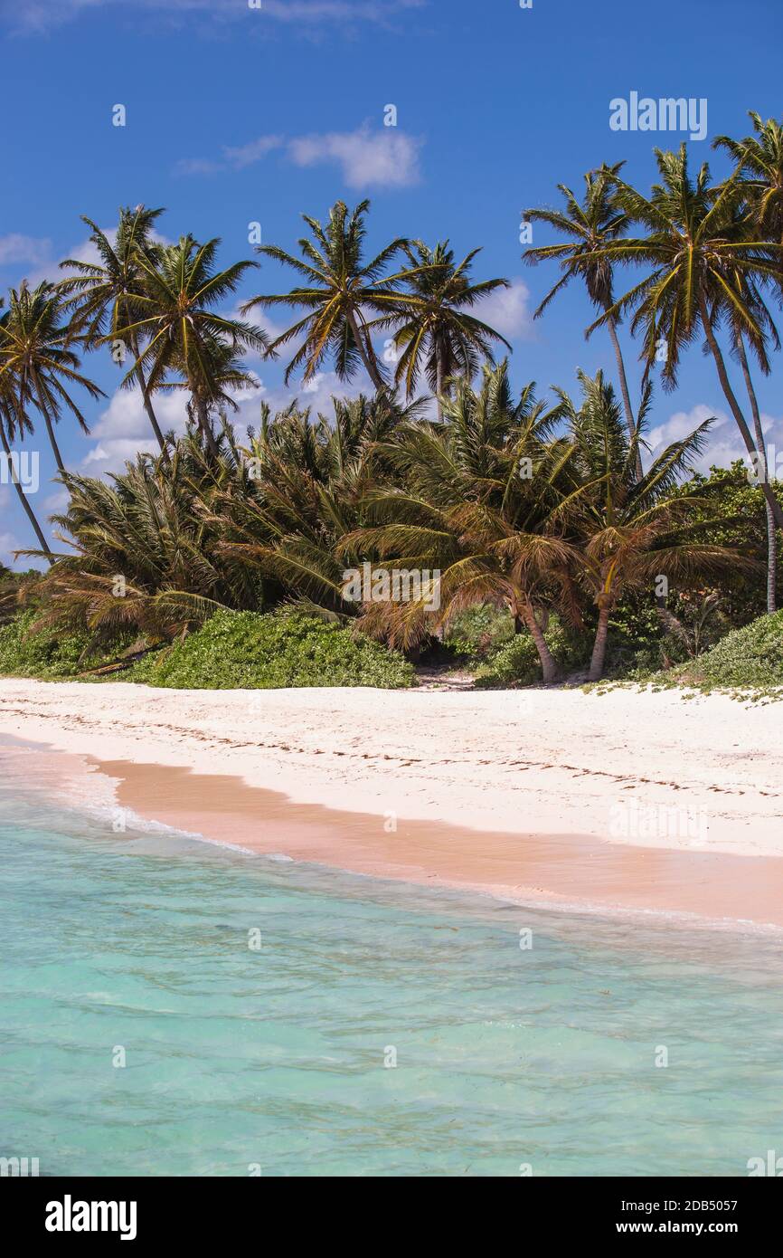 République dominicaine, Punta Cana, Playa Blanca Banque D'Images