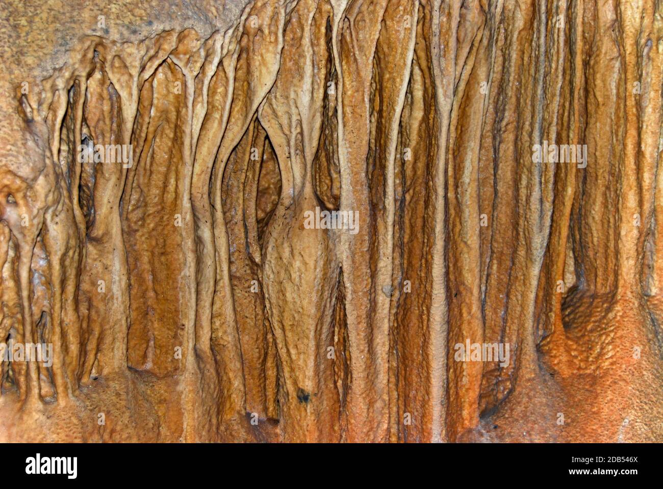 stalactites et stalagmites Banque D'Images