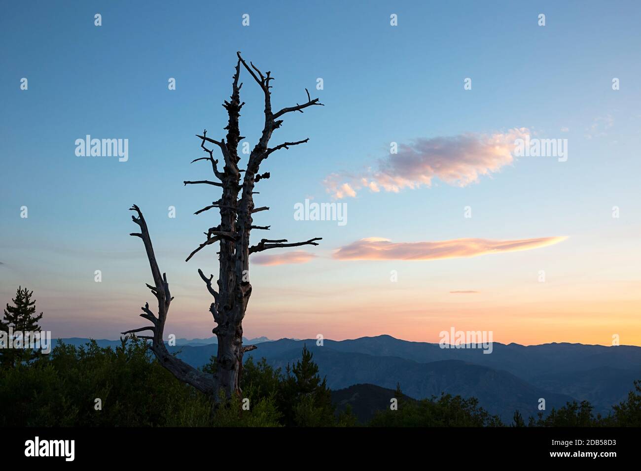 WA18129-00...WASHINGTON - coucher de soleil sur la chaîne de montagnes Cascade Cooper Mountain situé au-dessus du lac Chelan dans l'Okanagan Wenatchee Natio Banque D'Images