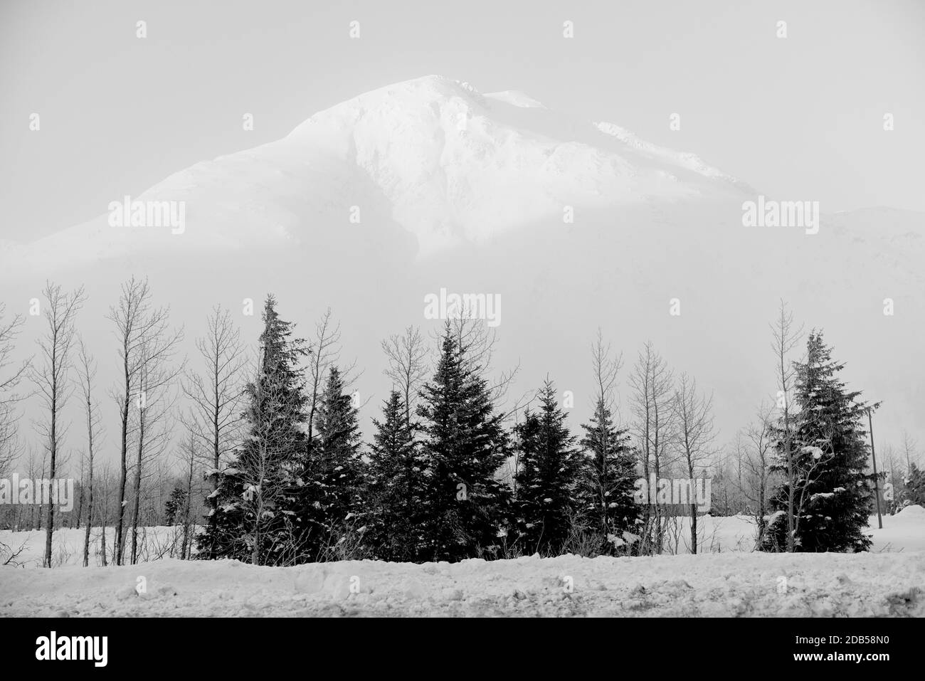 Montagnes monochromes de l'Alaska près du lac Portage Banque D'Images