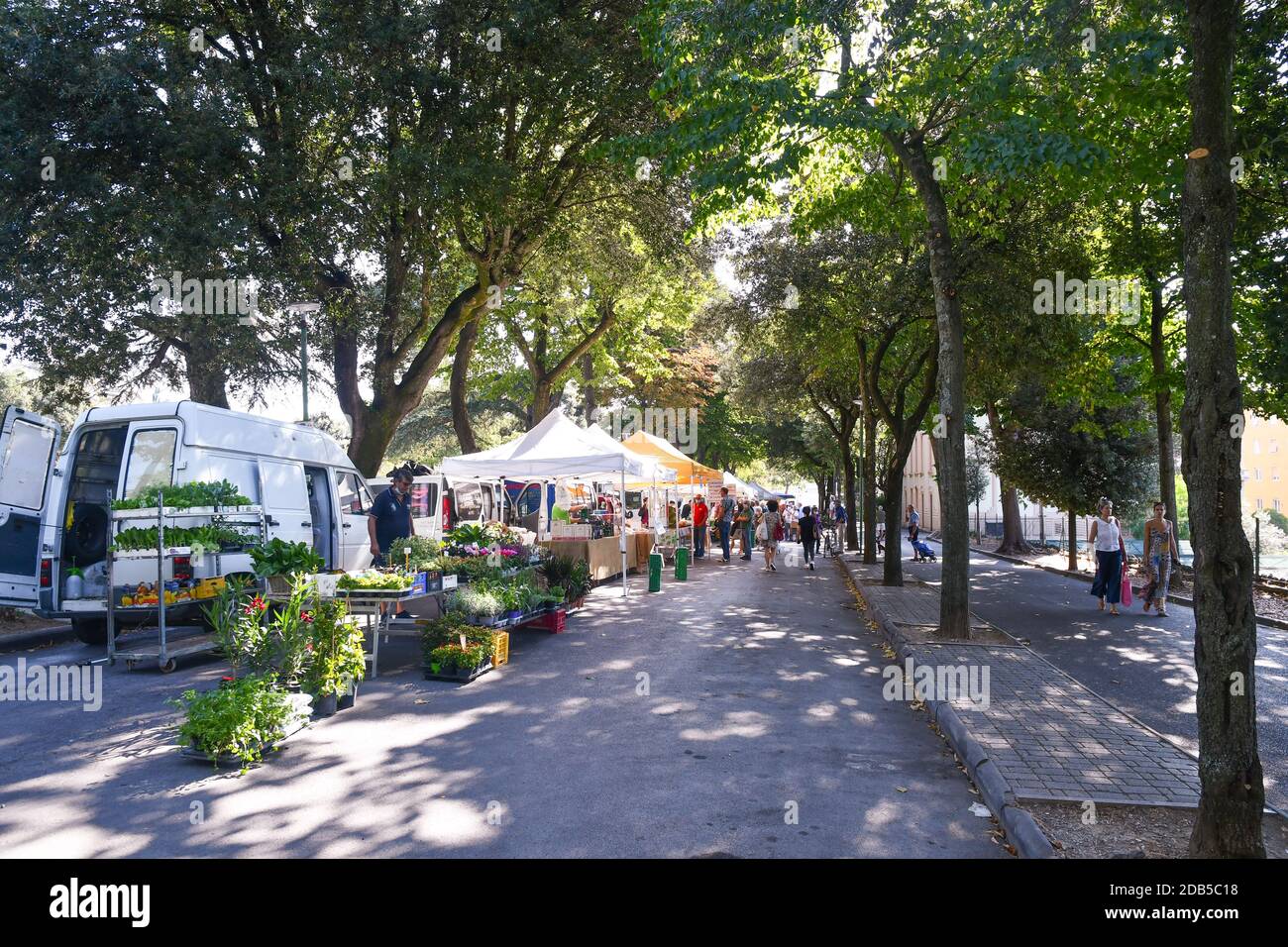 Vue sur le marché hebdomadaire de la ville dans Viale Cesare Macchi avenue avec des gens en été, Sienne, Toscane, Italie Banque D'Images