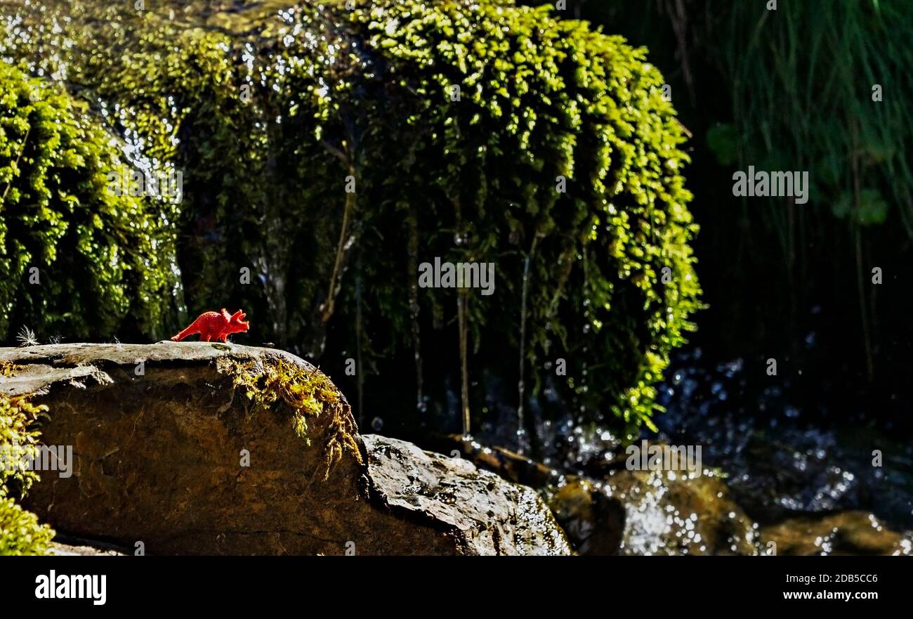 jouet de dinosaure rouge sur la pierre au milieu de la végétation de montagne des ruisseaux. Un concept humoristique sur le retour des dinosaures à la période de réchauffement de la planète Banque D'Images