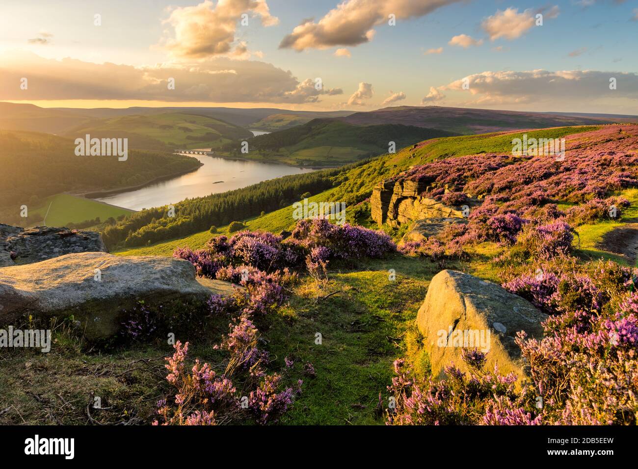 Belle lumière du soir lors d'une soirée d'été à Bamford Edge dans le parc national de Peak District. Banque D'Images