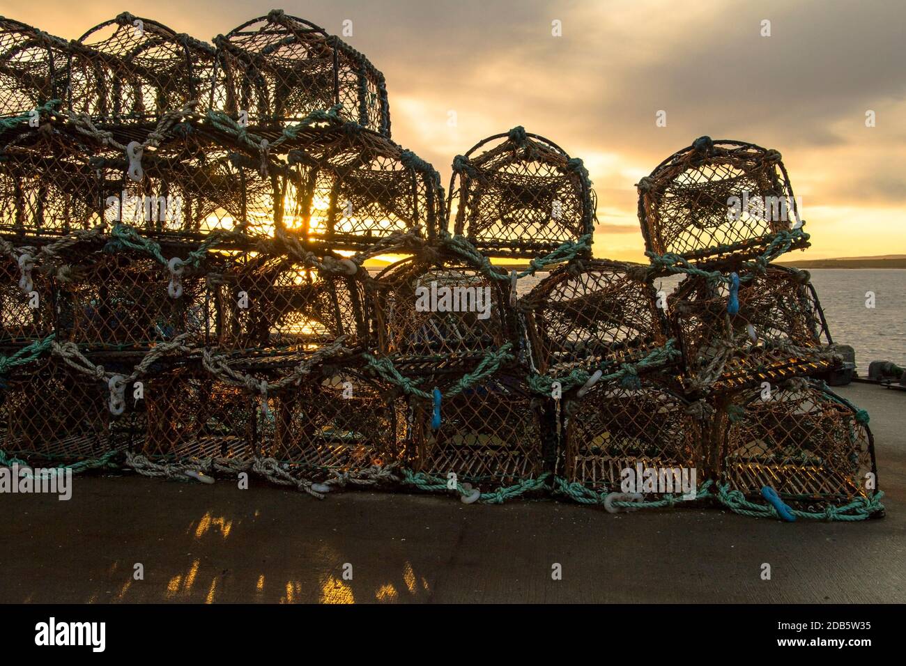 Paniers en forme de Cremel avec rétroéclairage lumineux pour la récolte des crabes et homards Banque D'Images
