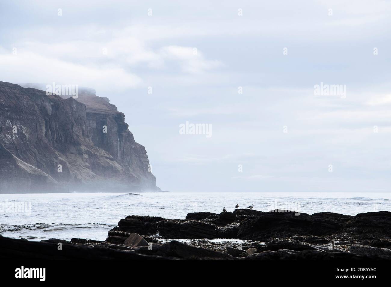 Vue spectaculaire sur les hautes falaises des îles Hoy et la mer goélands assis sur des rochers Banque D'Images