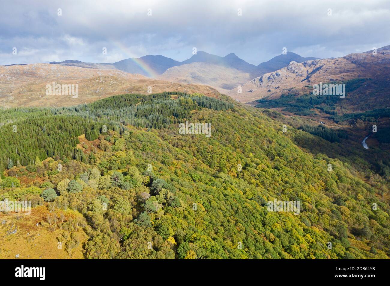 Vue aérienne de la réserve naturelle nationale Ariundle Oakwood, forêt sessile Oak dans la région Sunart des Highlands écossais. Ces bois d'oakwood anciens Banque D'Images