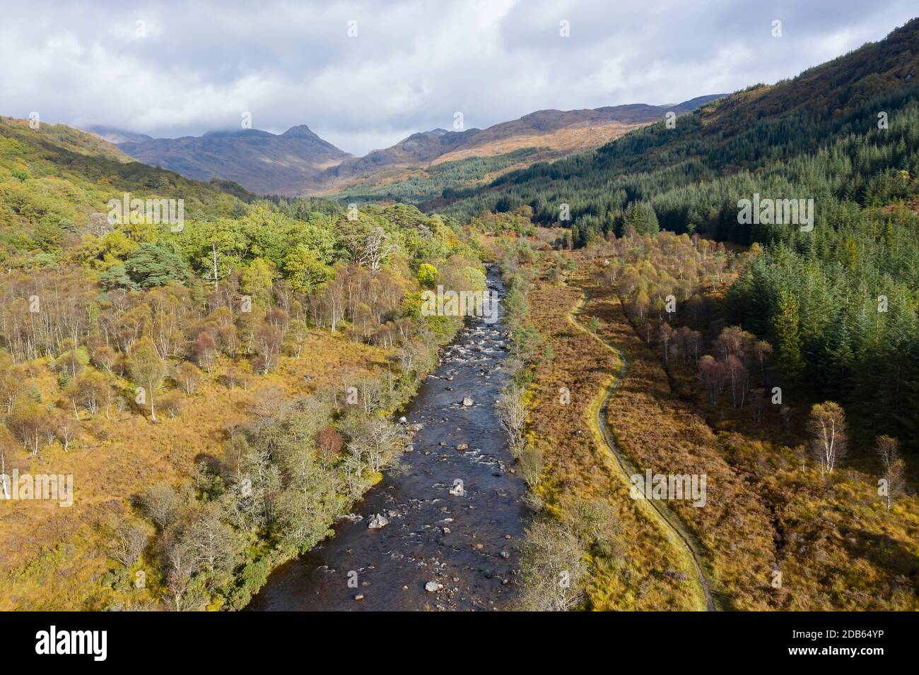 Vue aérienne de Strontian Glen avec Ariundle Oakwood National nature Reserve, sur la gauche, sessile Oak bois dans la région de Sunart de la Scottish Highla Banque D'Images