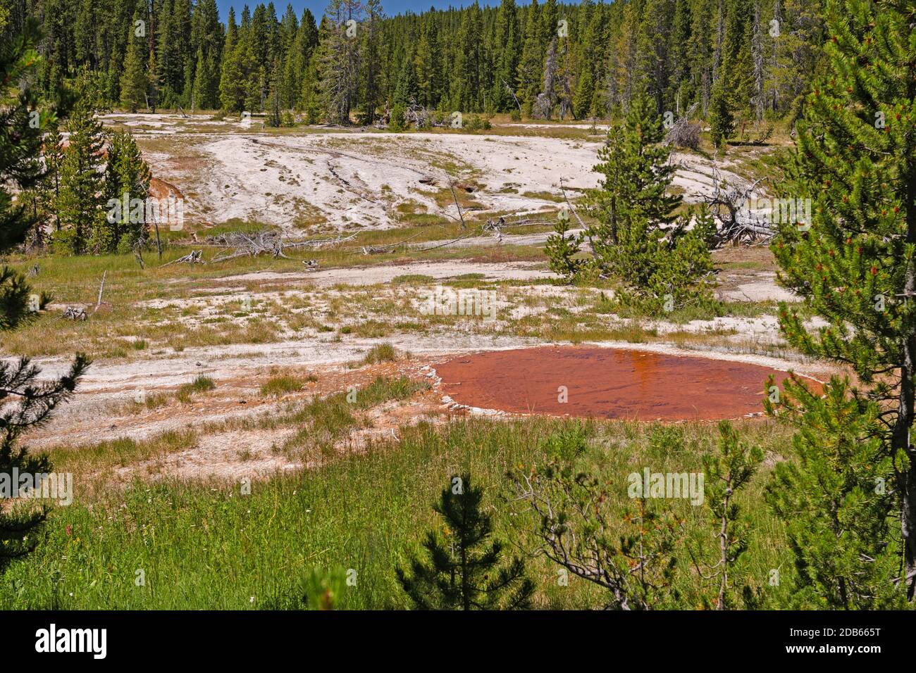 La région thermale de Dying dans la nature sauvage du bassin thermique de Shoshone dans le parc national de Yellowstone, Wyoming Banque D'Images