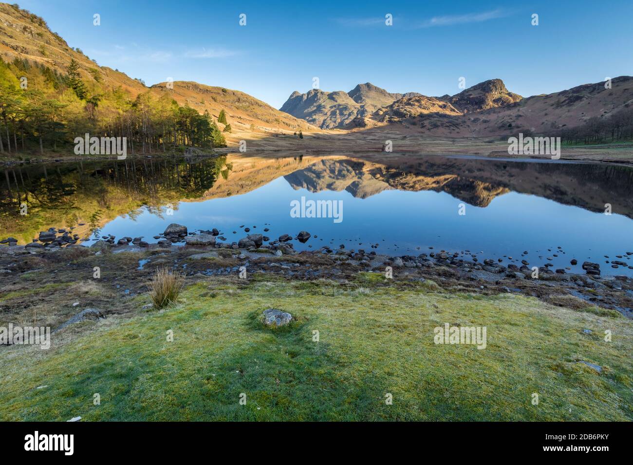 Vue panoramique de Blea Tarn dans le quartier des lacs anglais, le matin d'un printemps ensoleillé avec ciel clair et reflets. Banque D'Images