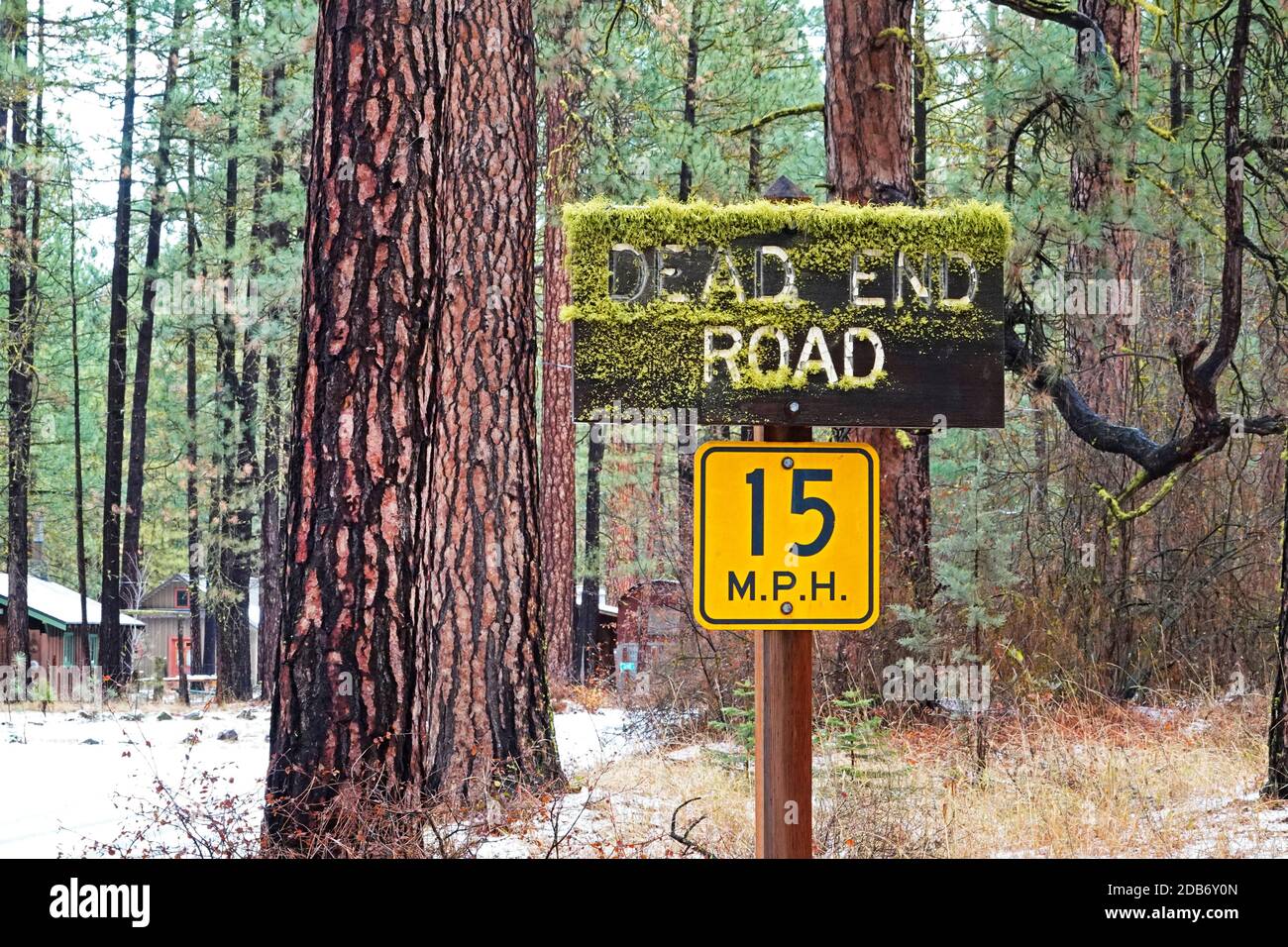 Un panneau de route à l'extrémité morte sur une voie enneigée dans une forêt de pins ponderosa le long de la rivière Metolius dans la chaîne des Cascades du centre de l'Oregon. La communauté est Camp Banque D'Images