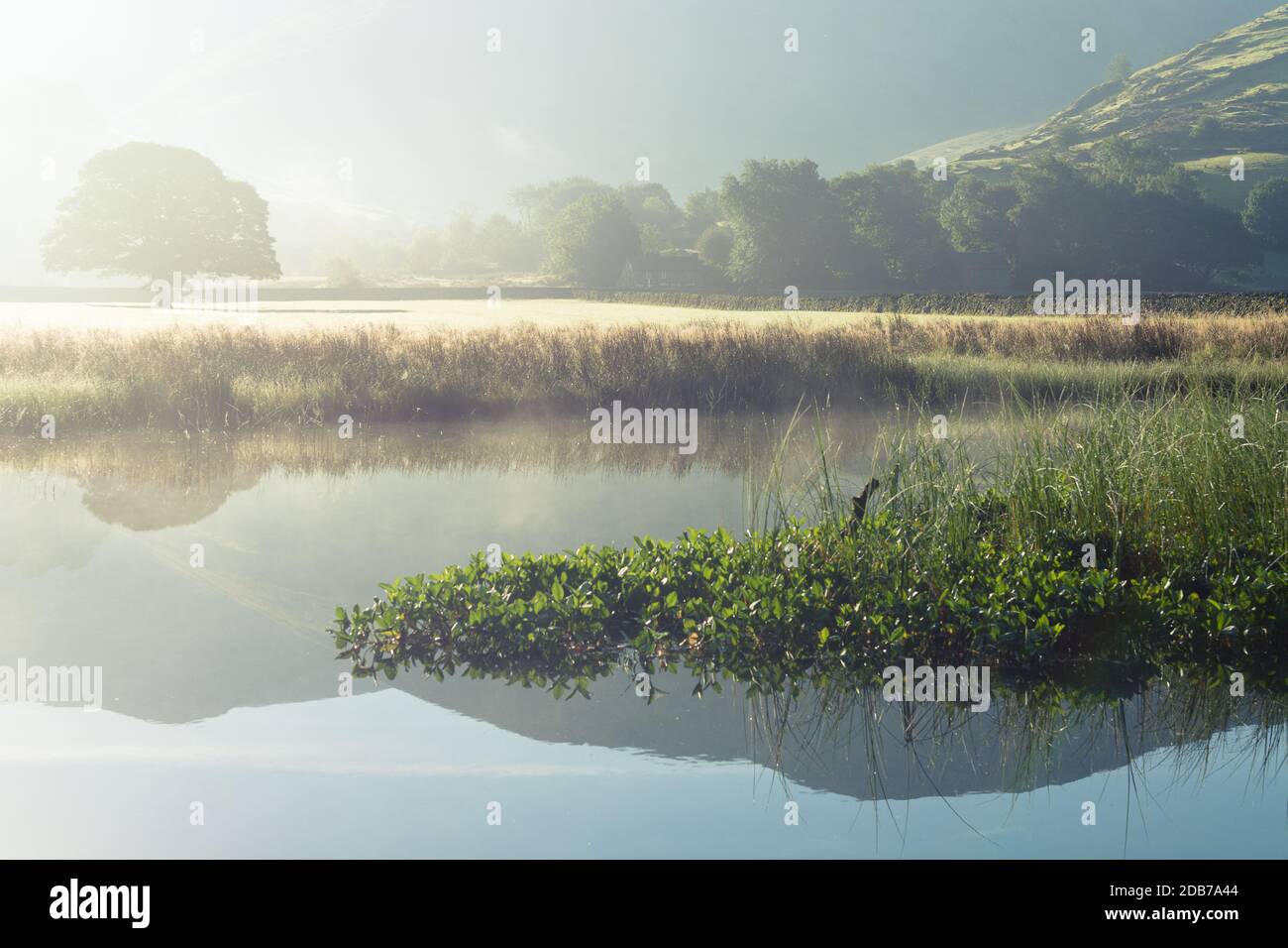 Matin d'été brumeux au bord de la rivière à Brotherswater, dans le district des lacs anglais. Banque D'Images