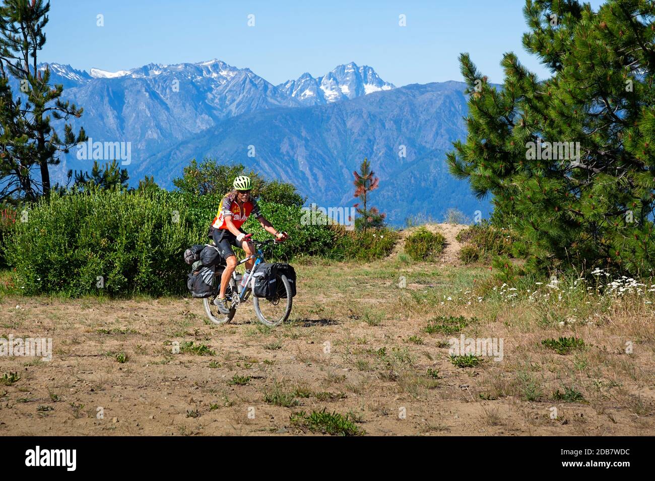 WA18135-00...WASHINGTON - cycliste qui traverse une participation le long de la route de la montagne Chumstick dans les montagnes Entiat de la forêt nationale de Wenatchee. Banque D'Images