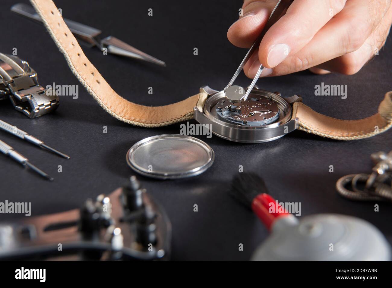Close up de remplacement d'une pile de montre avec des outils d'horloger Banque D'Images
