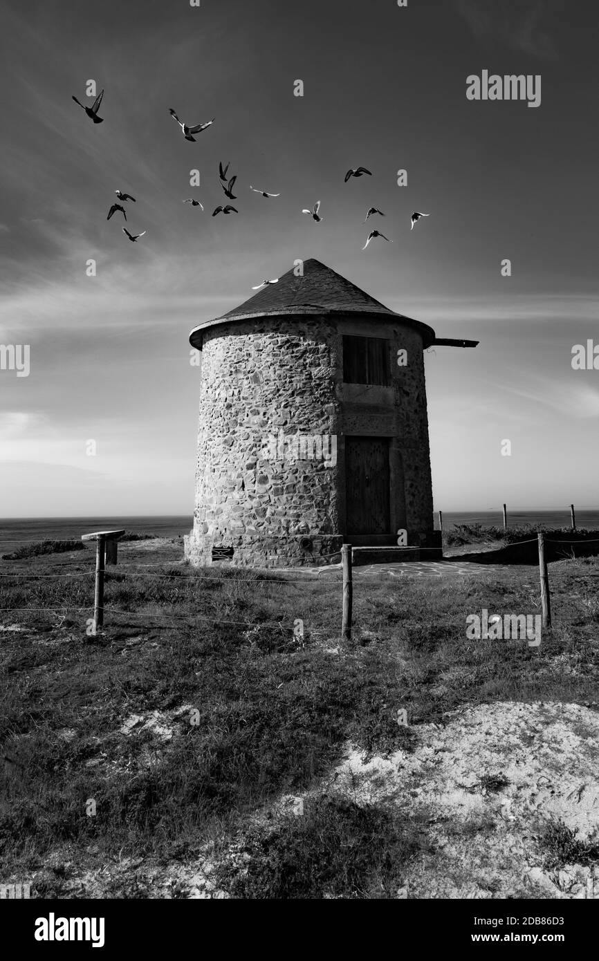 Belle photo en noir et blanc de pigeons volant au-dessus d'un moulin à vent situé à Apúlia au Portugal. Carte postale du Moulin à vent ou photosautrophie de l'impression, côte. Banque D'Images