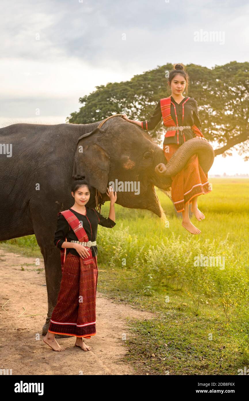 Deux femmes avec un éléphant, la Thaïlande Banque D'Images