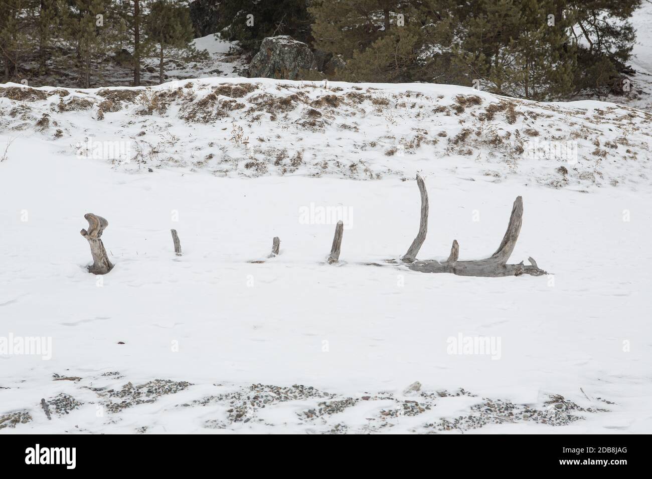 Figure abstraite arbre neige sur la rive d'hiver. Banque D'Images