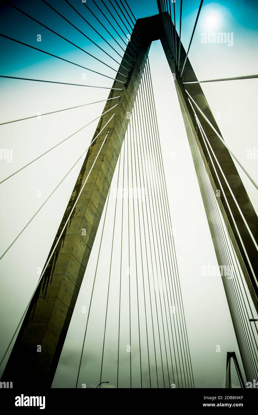 Câbles à‚Arthur Ravenel Jr. Bridge, Charleston, Caroline du Sud, Etats-Unis Banque D'Images