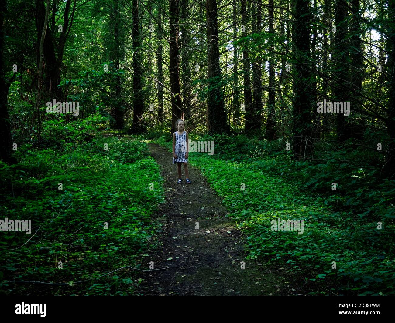 Fille marchant dans la forêt en été, Bialowieza, Podlasie, Pologne Banque D'Images