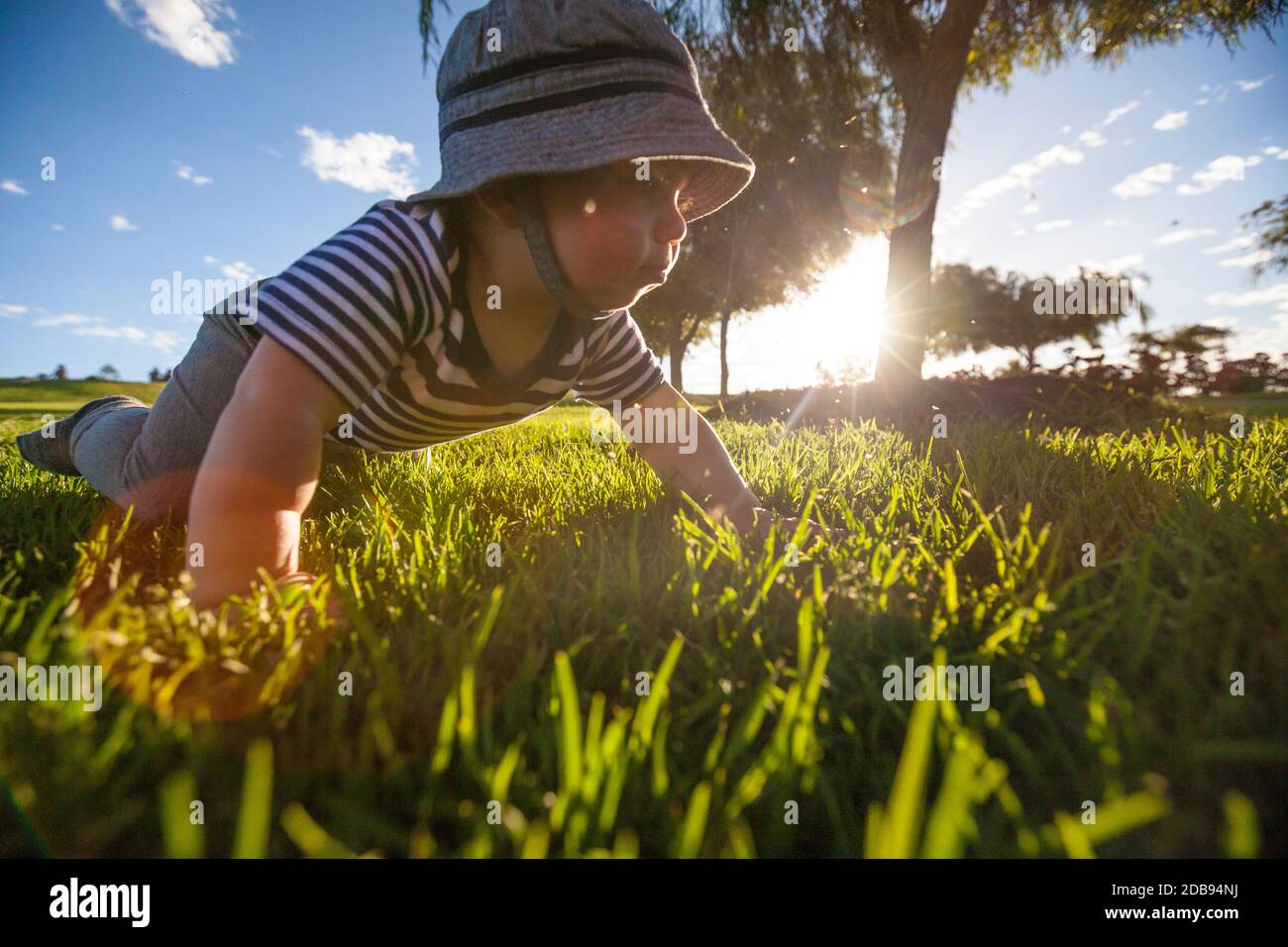 Bébé rampant dans le parc Banque D'Images