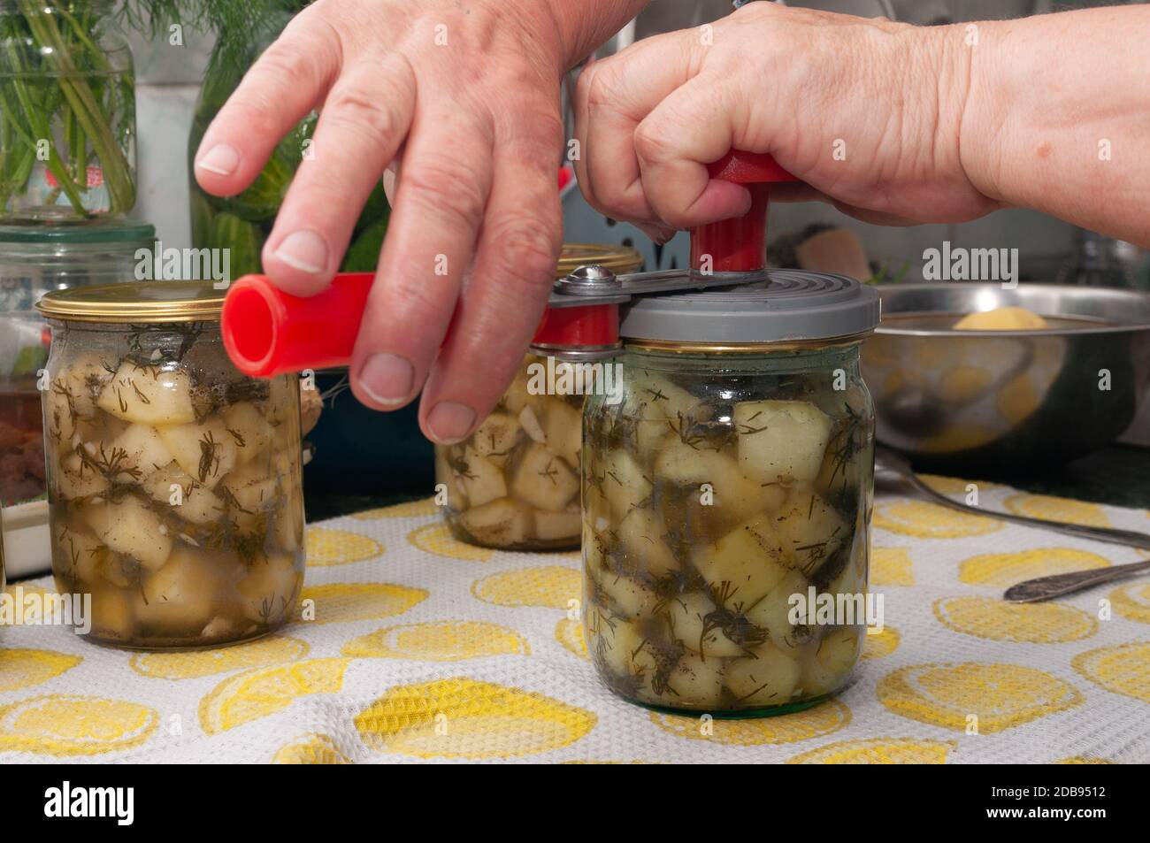cuisson de légumes en conserve. Banque D'Images
