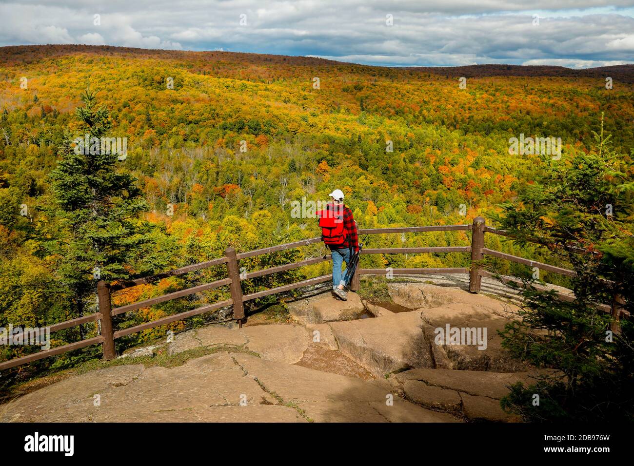 Sentier de randonnée d'Oberg Mountain à Tofte, Minnesota. Banque D'Images