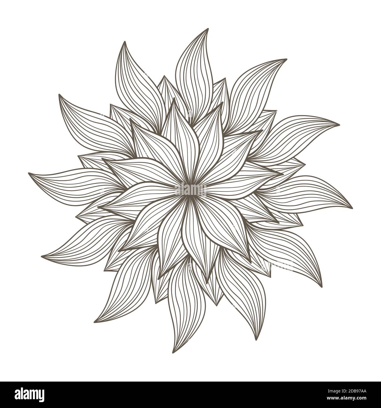 Page de livre de coloriage vectoriel pour adultes. Illustration de Vecteur