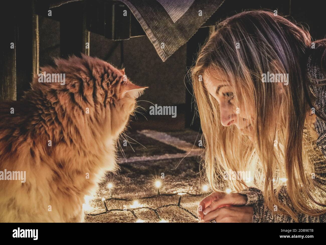 Un chat au gingembre et une femme qui regarde les lumières de Noël Banque D'Images
