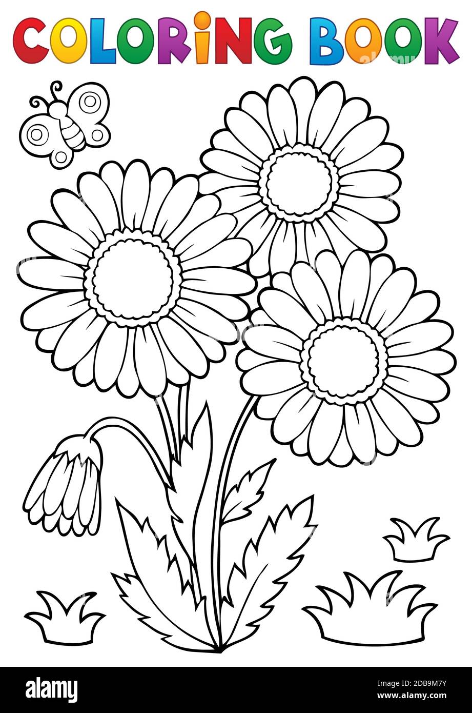 Livre De Coloriage Marguerite Fleur Image 2 Illustration D Image Photo Stock Alamy