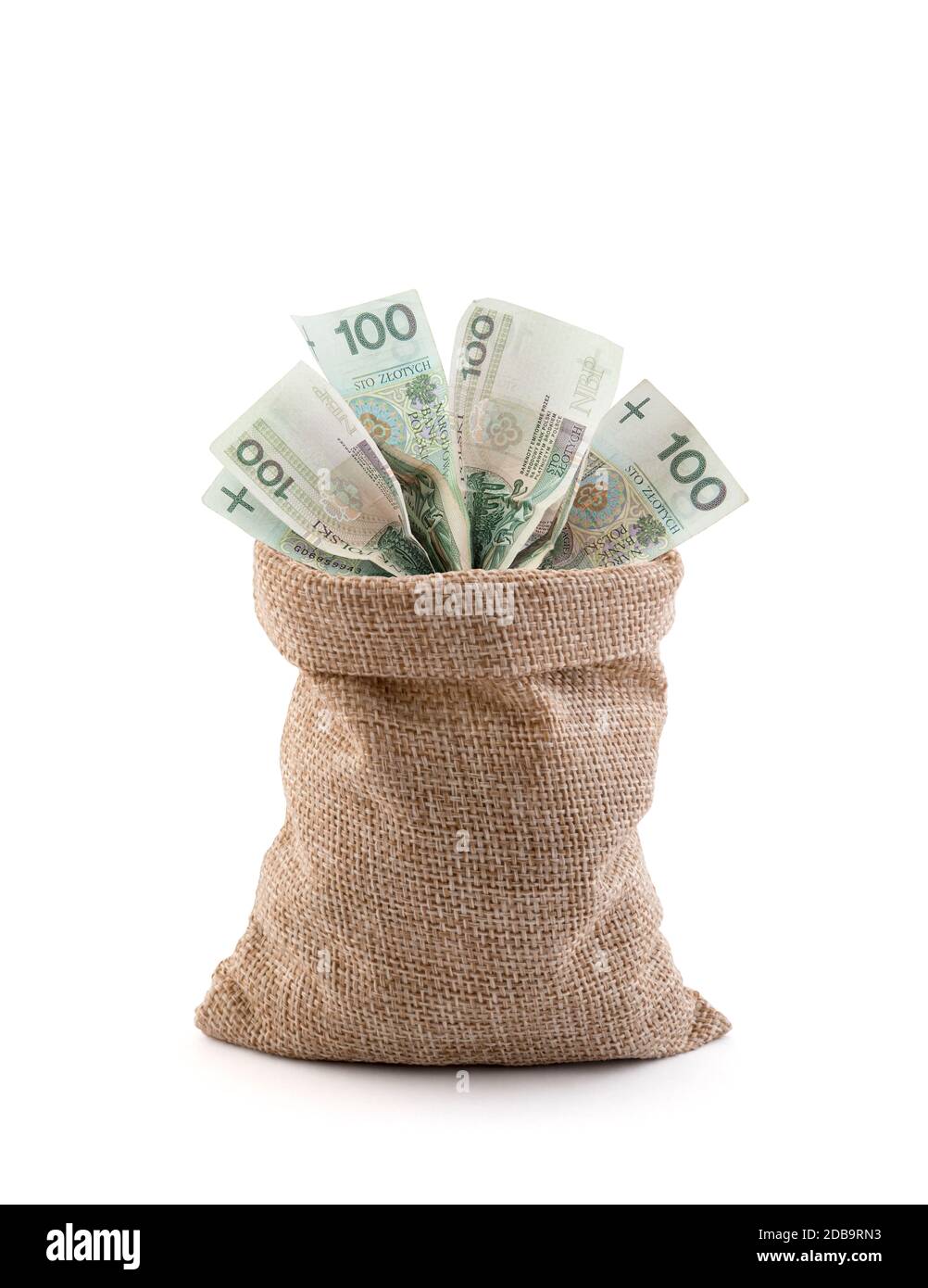 Argent polonais dans le sac isolé sur fond blanc Banque D'Images