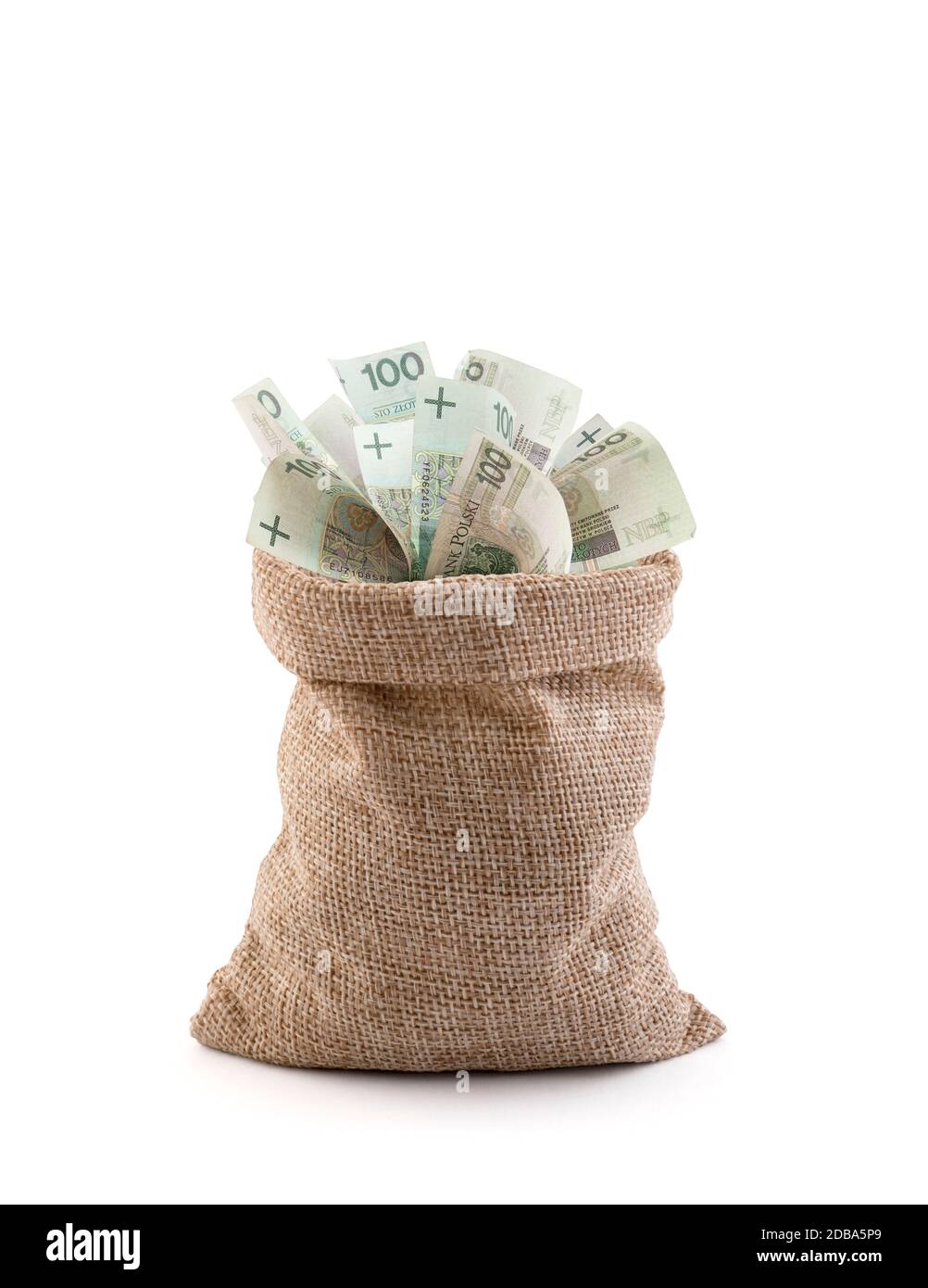 Argent polonais dans le sac isolé sur fond blanc Banque D'Images