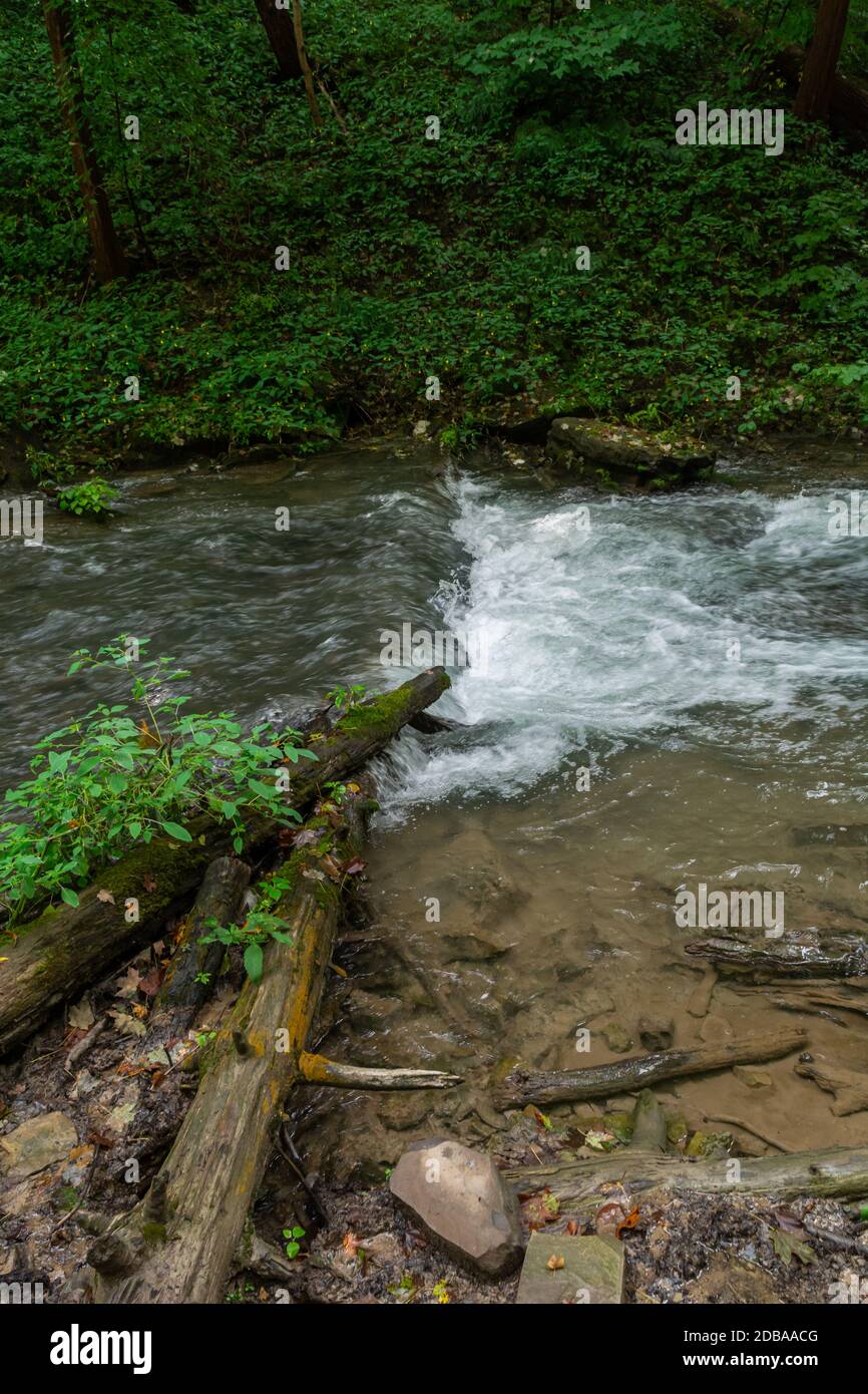 Aire de conservation du bas-dégoût Ontario Canada Banque D'Images