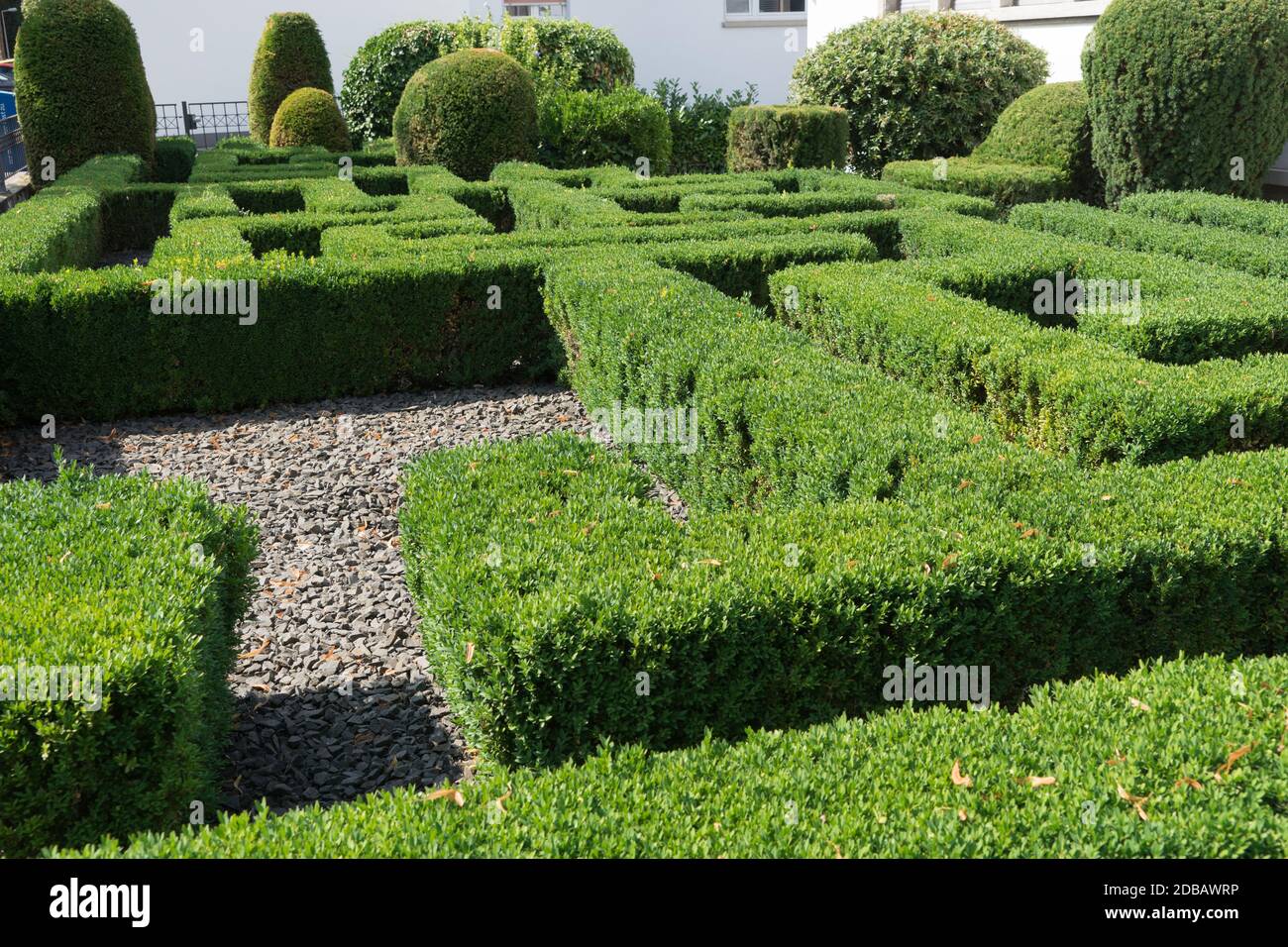 Architecture de jardin moderne avec labyrinthe de box-arbres Banque D'Images