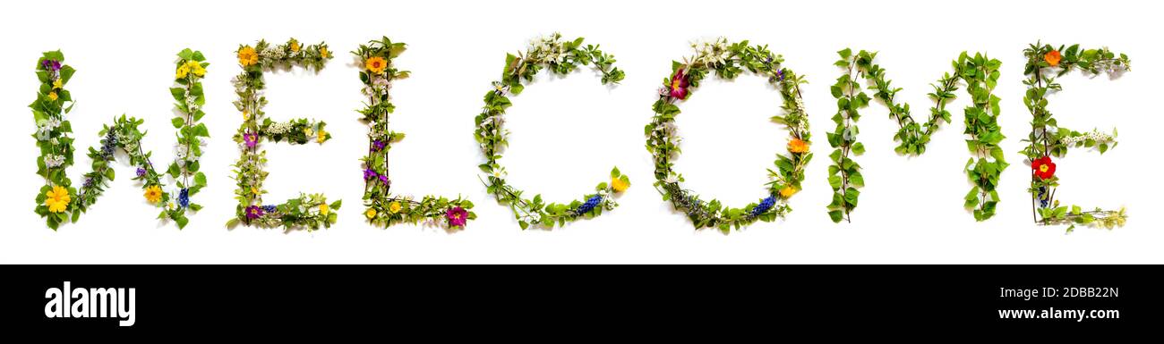 Fleur, branches et Blossom lettre Bâtiment Bienvenue. de mot anglais Arrière-plan isolé blanc Banque D'Images