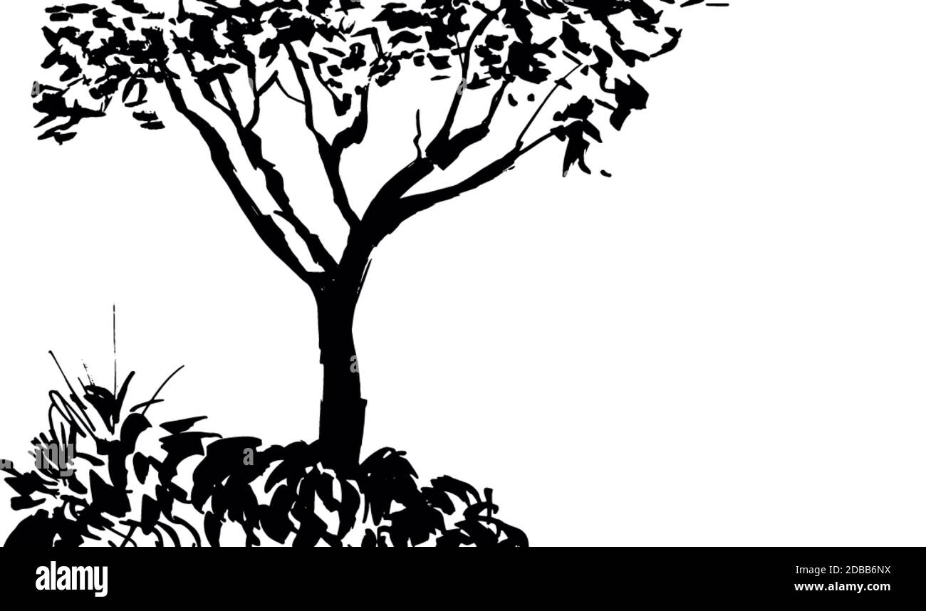 Silhouette d'arbre noir isolée sur fond blanc. Sumi-e, u-sin, style de