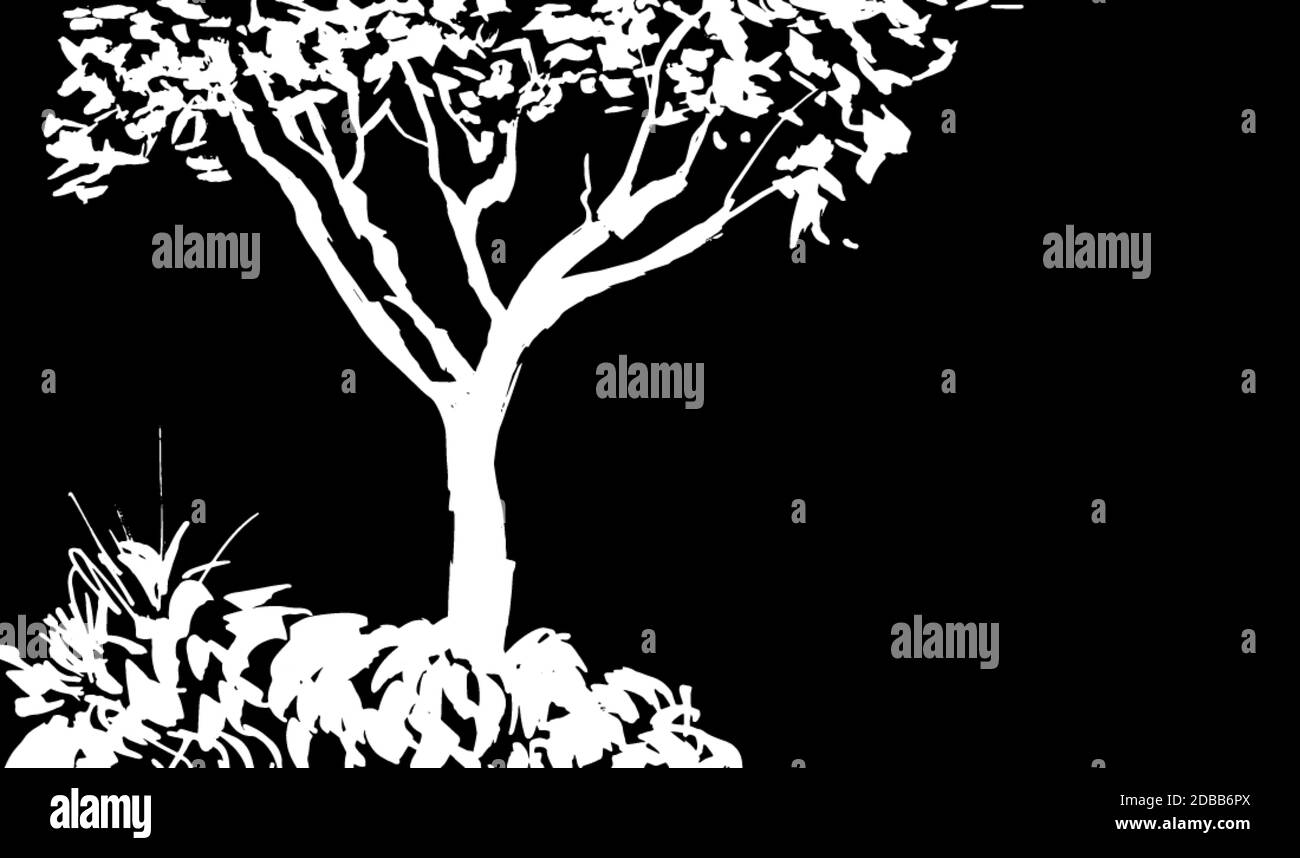 Silhouette d'arbre blanc isolée sur fond noir. Sumi-e, u-sin, style de