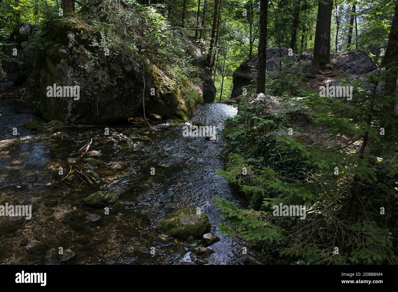 Des cascades et des pistes. Myra Falls ,dans l'Muggendorf en Basse Autriche Banque D'Images