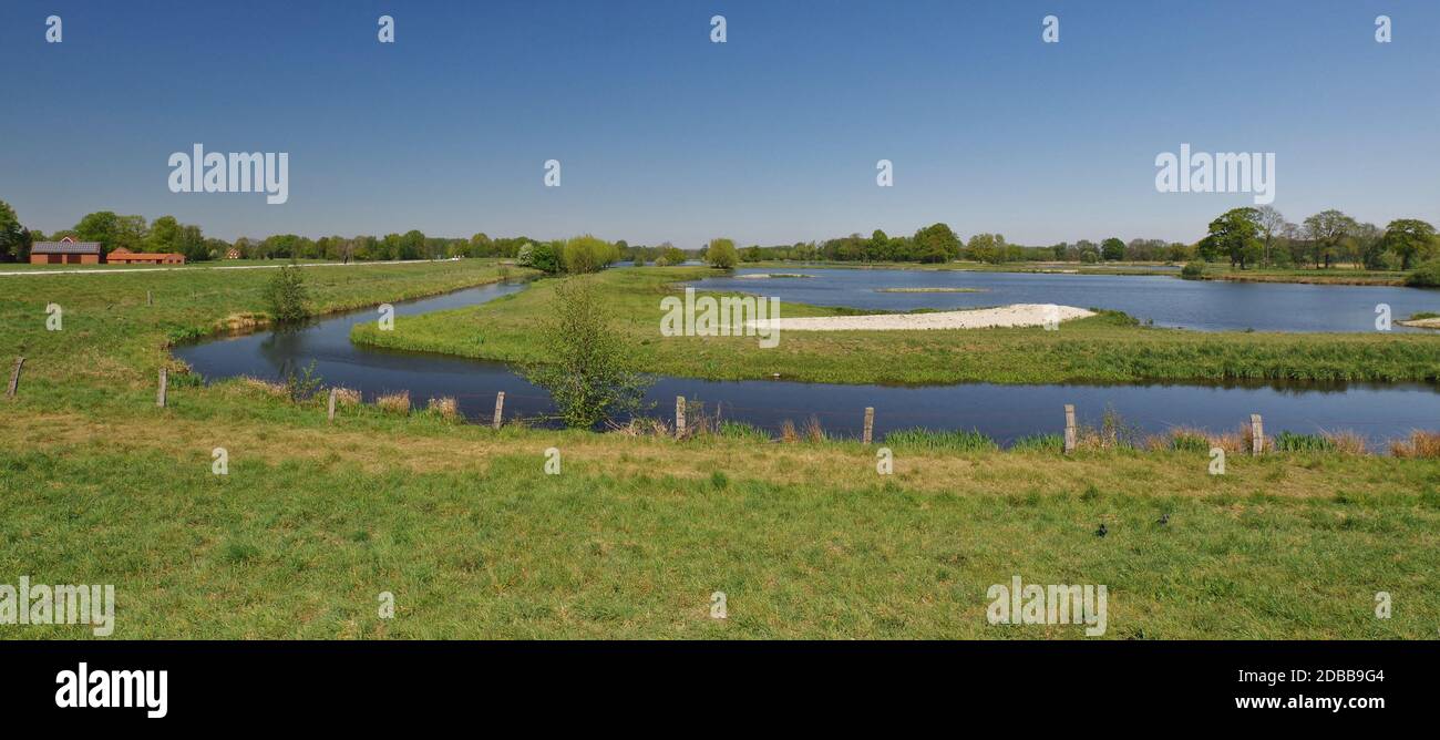 Biotope 'Steinhorster Becken', zone de conservation de la nature et réserve ornithologique, Steinhorst, territoire de Delbrück, Paderborn, Rhénanie-du-Nord-Westphalie, Allemagne Banque D'Images