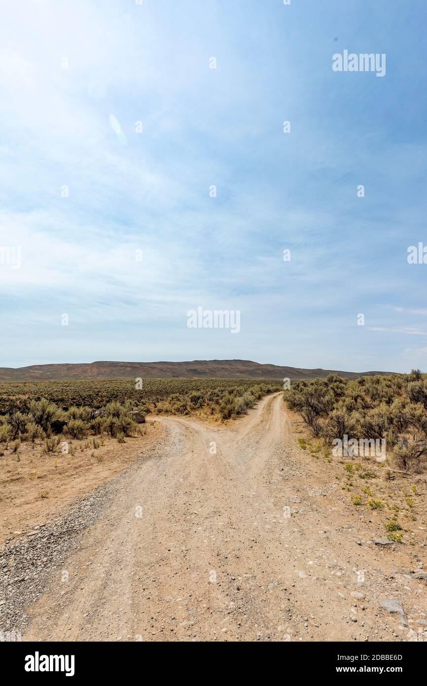 États-Unis, Idaho, Bellevue, route de terre à fourche dans le désert Banque D'Images