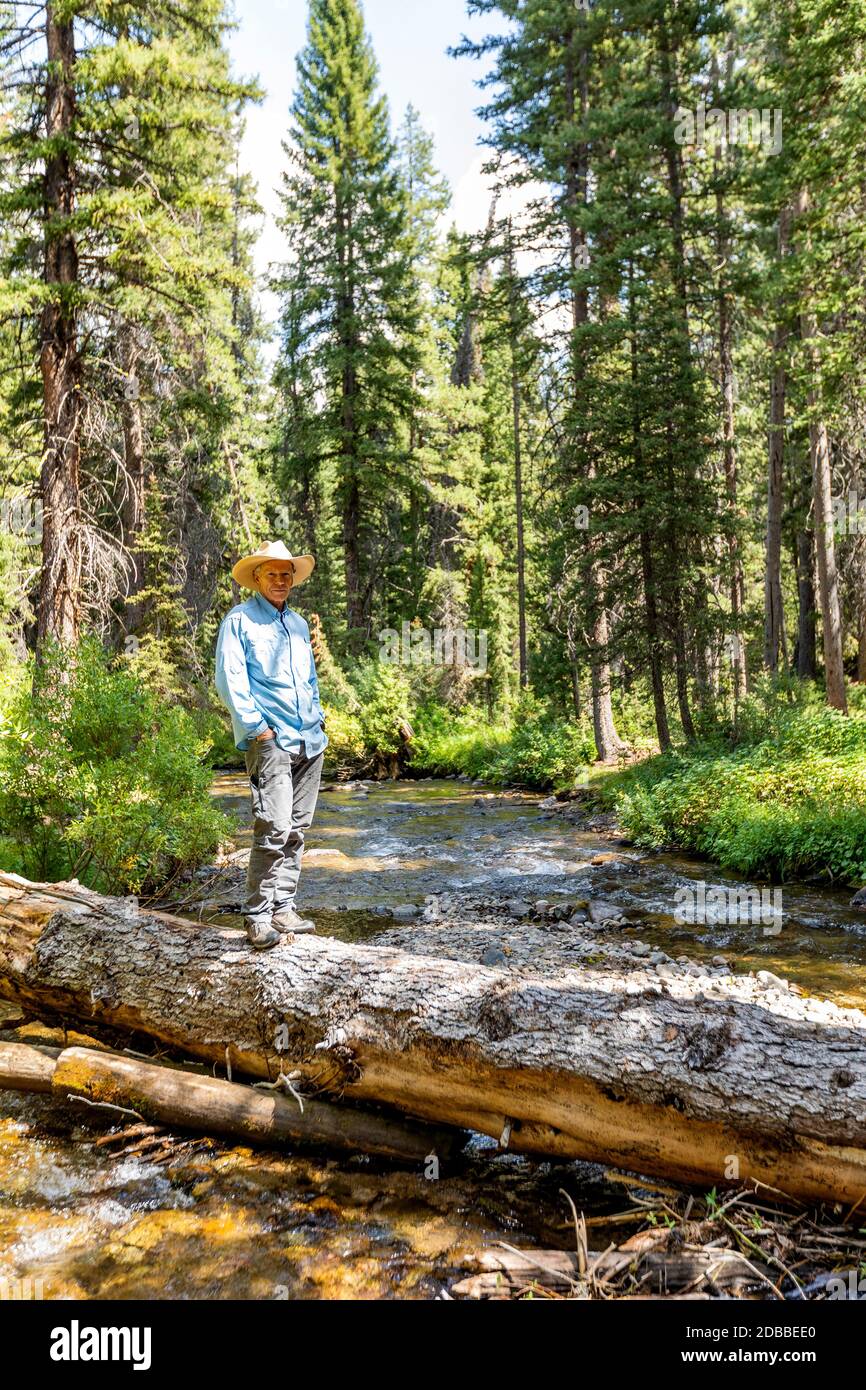 États-Unis, Idaho, Sun Valley, Homme debout sur un arbre tombé au-dessus de la rivière dans la forêt Banque D'Images