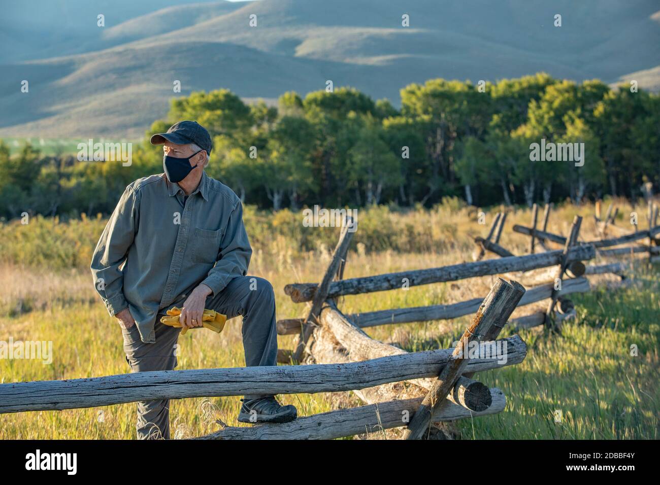 États-Unis, Idaho, Bellevue, Farmer dans masque de visage appuyé contre la clôture sur le terrain Banque D'Images