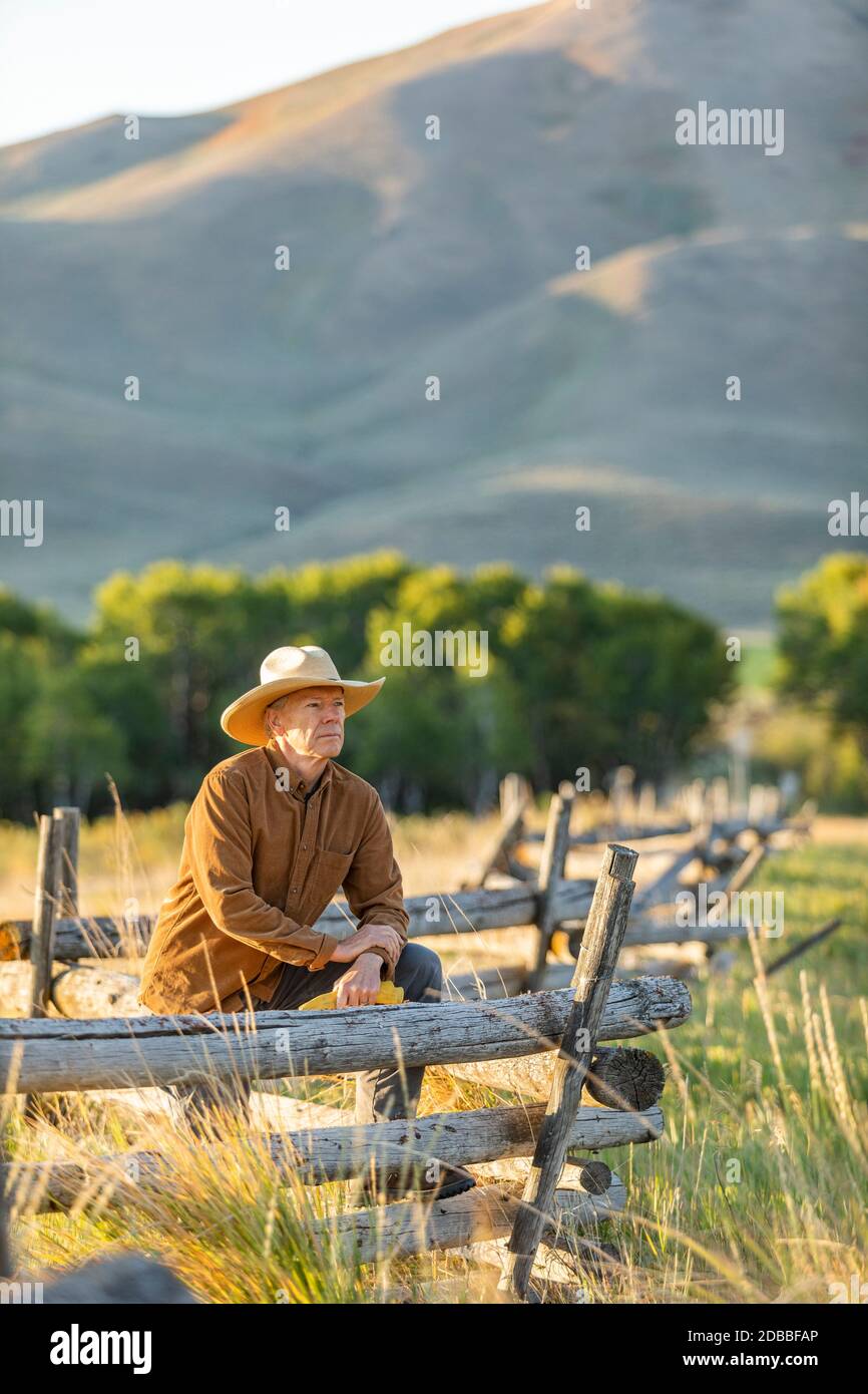 États-Unis, Idaho, Bellevue, Rancher se penchait contre la clôture sur le terrain Banque D'Images