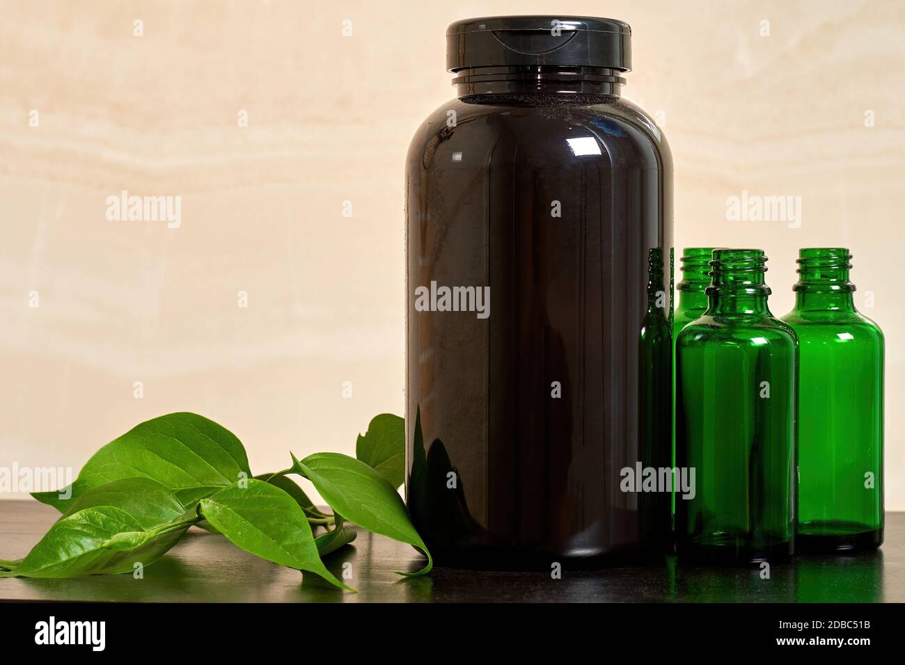 Bouteilles cosmétiques noires et vertes avec feuilles, shampooing sur la table en bois. Base de plantes et de cosmétiques naturels avec espace de copie pour la publicité Banque D'Images