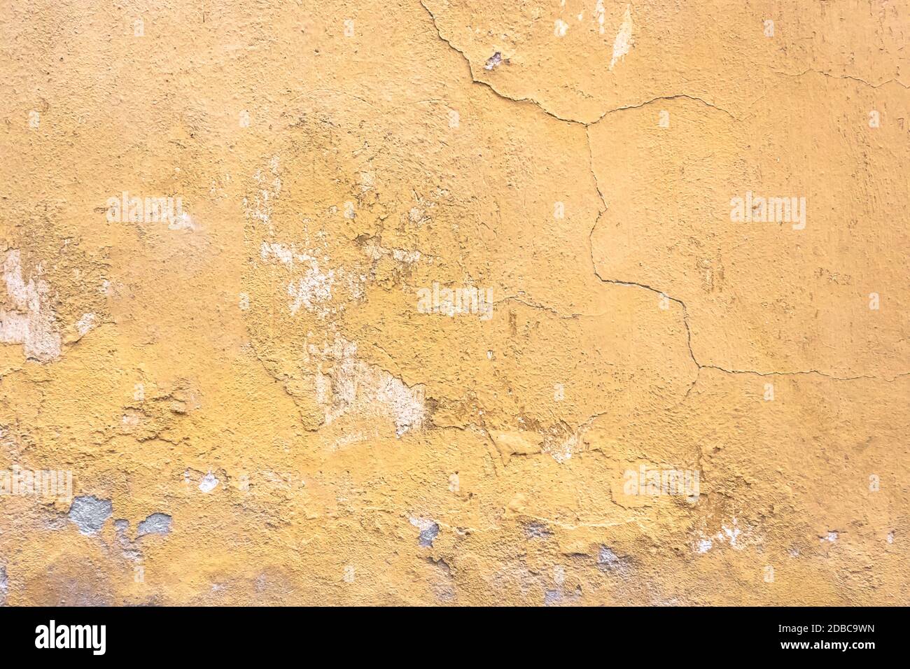Mur de plâtre Grunge avec fond rayé jaune. Vieux mur avec peau Swamp couleur stuc texture. Papier peint vintage. Pourriture et fissures. Résumé rugueux Banque D'Images