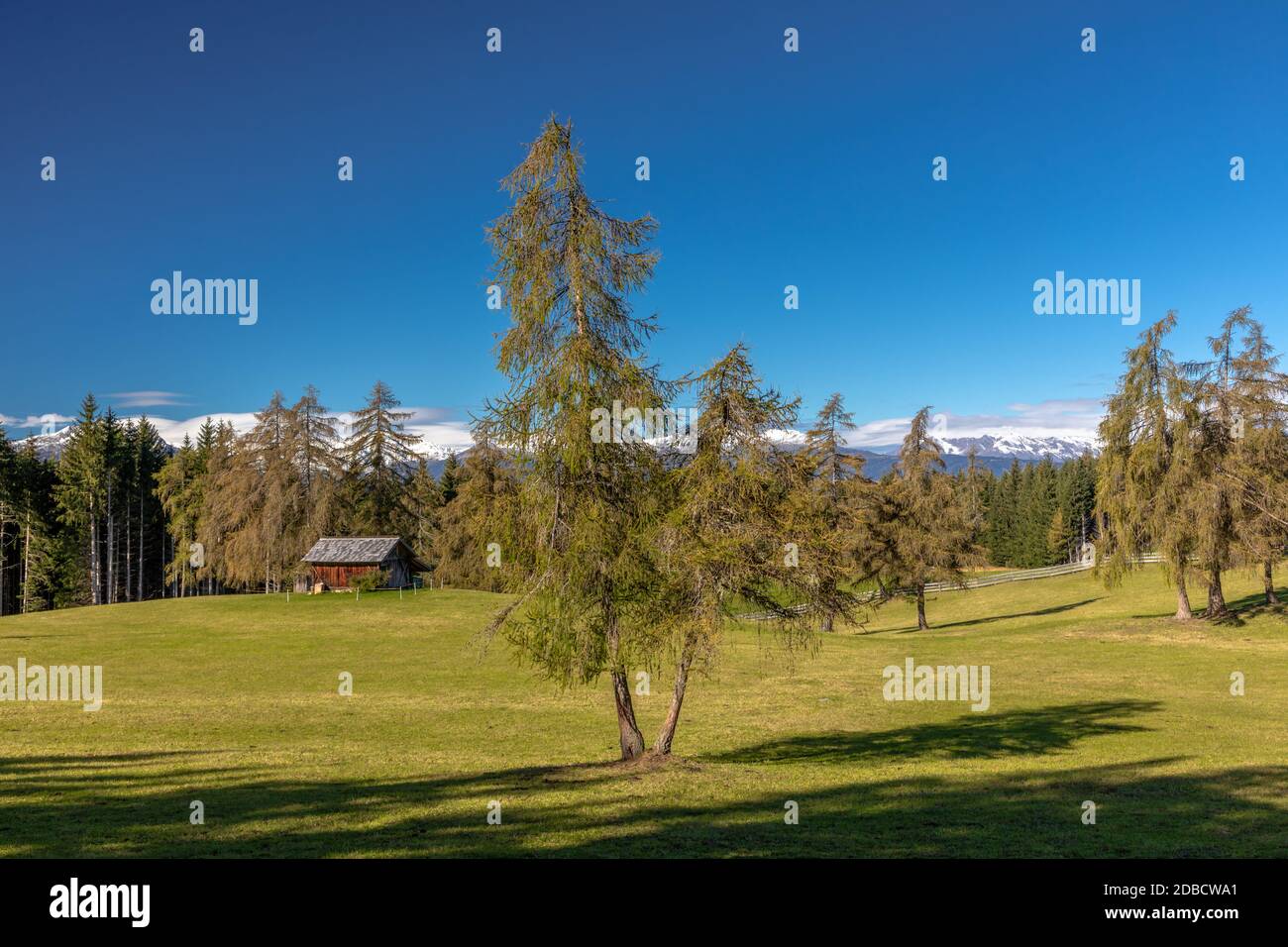 Fin de l'été sur la montagne Salten, Tyrol du Sud Banque D'Images